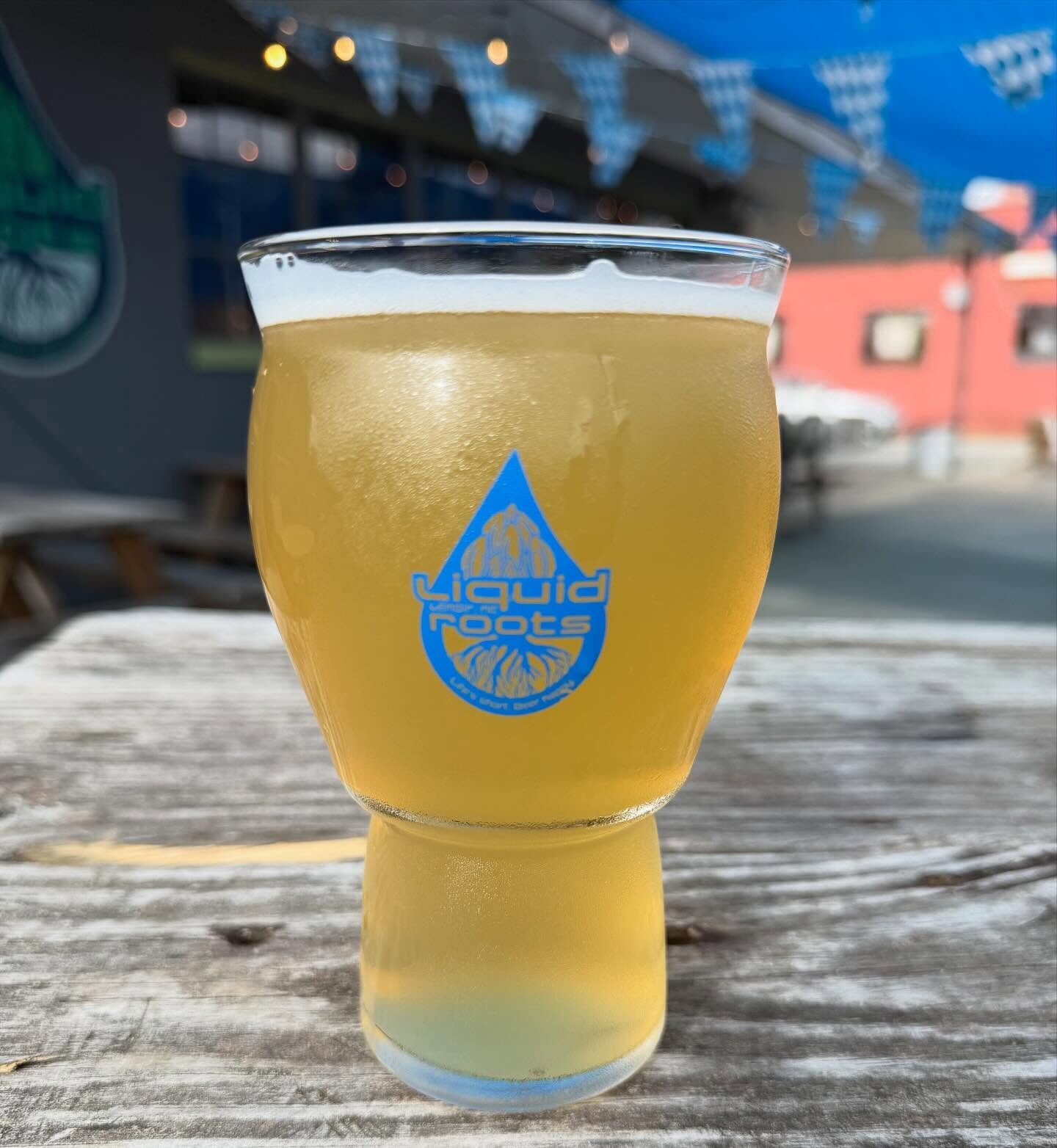 Liquid Roots Brewing